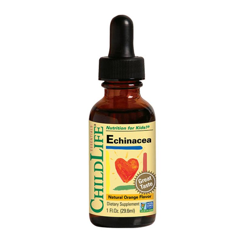 Echinacea