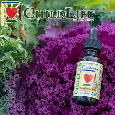 Echinacea