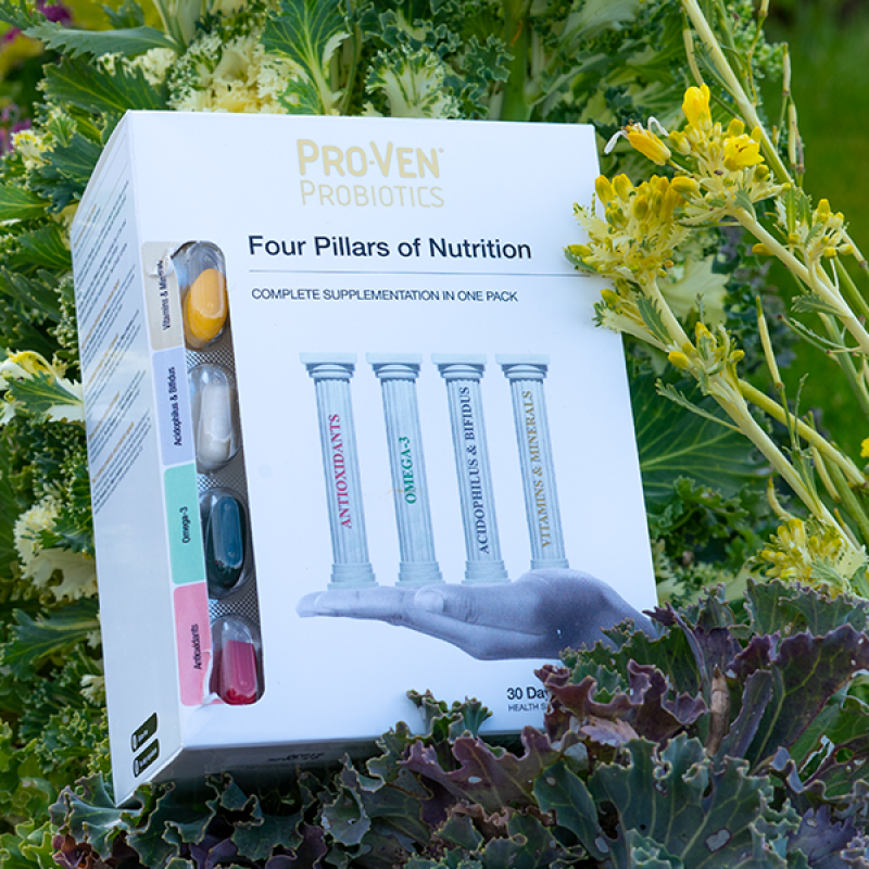 Four Pillars of Nutrition