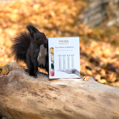 Four Pillars of Nutrition