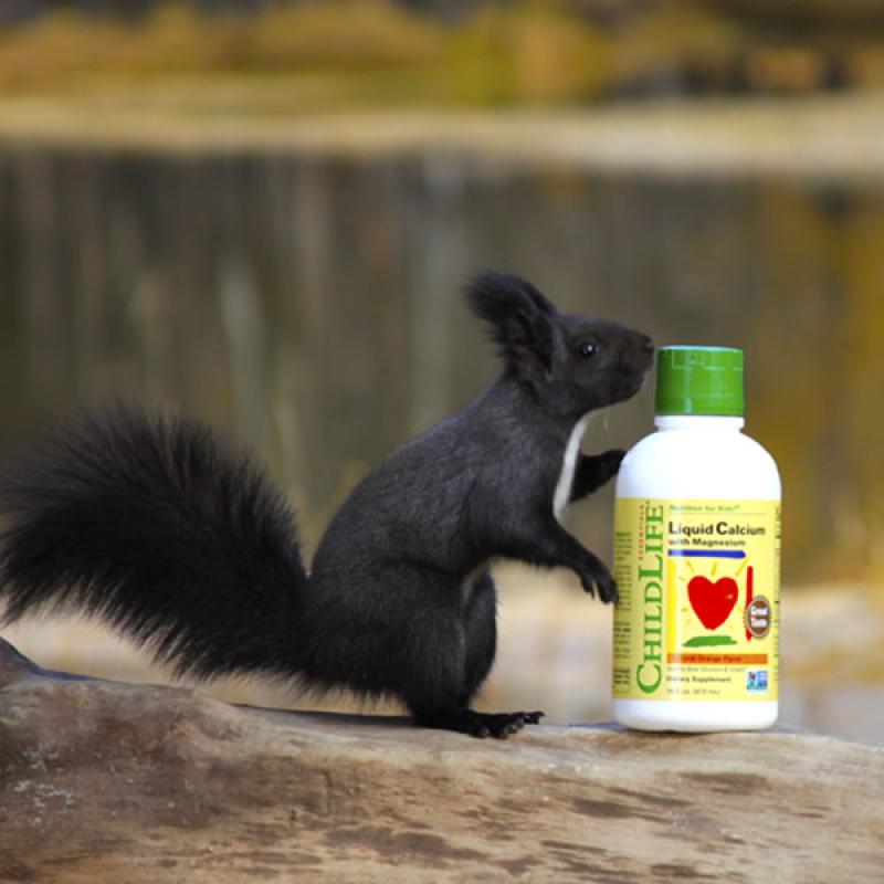 Liquid Calcium with Magnesium