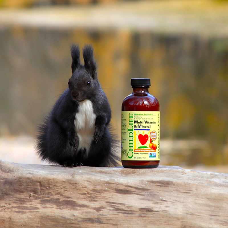 Multi Vitamin & Mineral